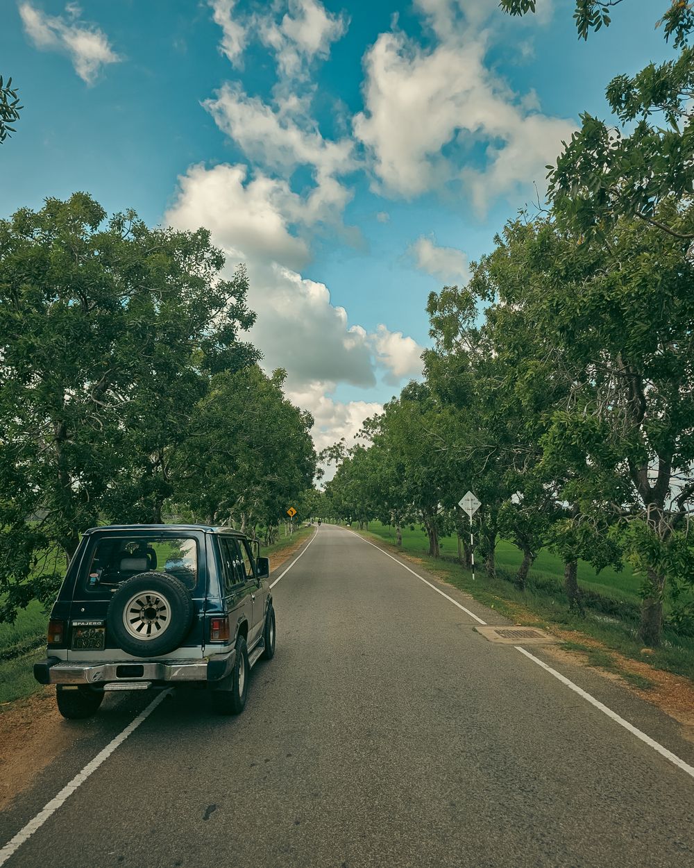 A private vehicle on a quiet tree-lined road in the Sri Lankan countryside