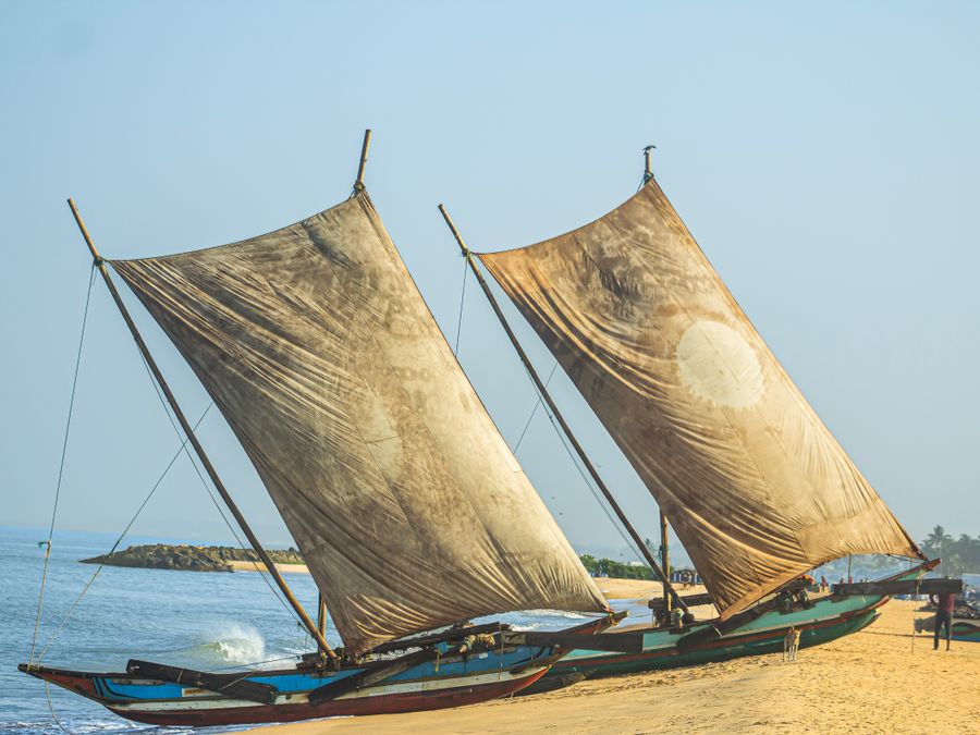 Traditional outrigger fishing boats with tall sails drawn up on the beach at Negombo