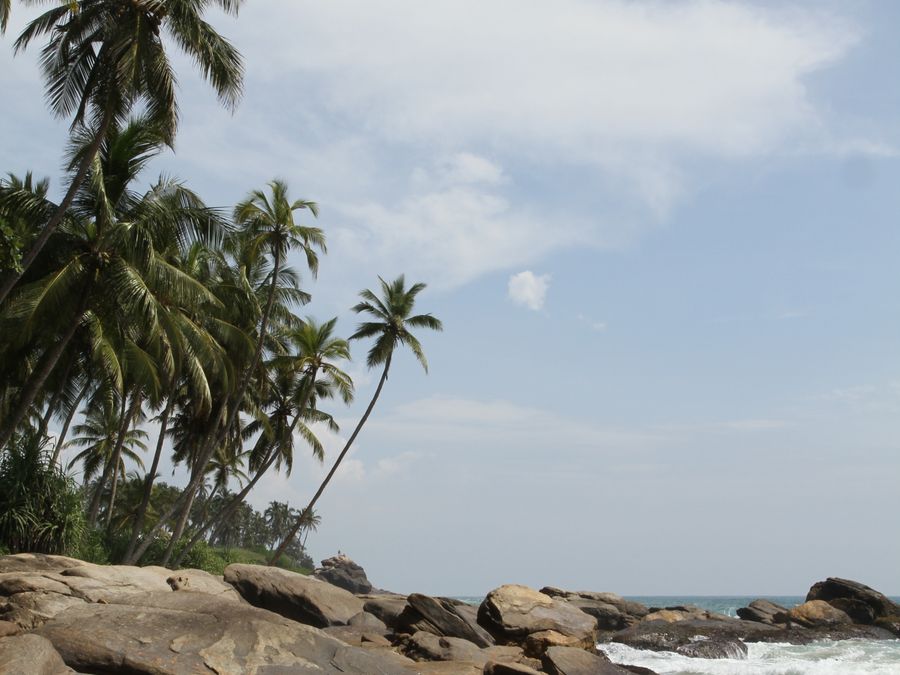 An empty stretch of sand backed by palms and rocks at Tangalle